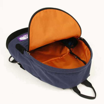 north_face_likeearth_backpac